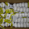 2016 Chinese New Crop Pure White Garlic